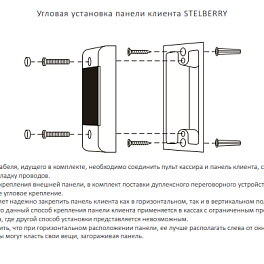 Stelberry S-105, антивандальная абонентская панель с защитным козырьком без вызова в комплекте с угловым креплением